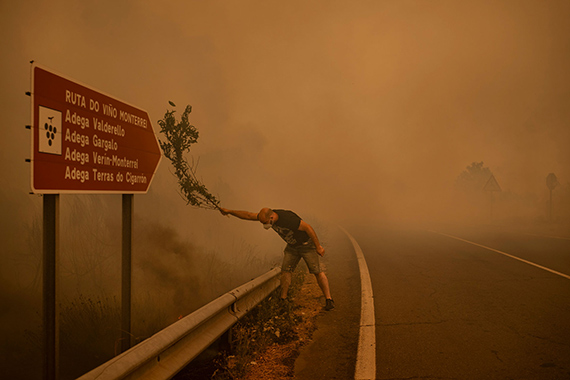 World Press Photo 2026 