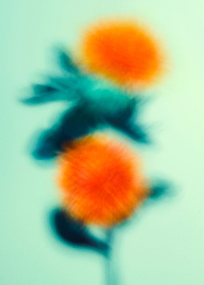 5 winners of the Form Photo Award x 2026!