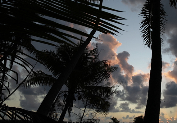 Véronique Caye