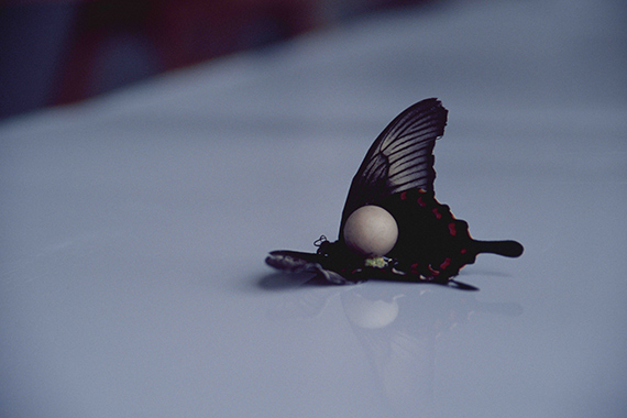 &copy; Kay Walkowiak, Ephemera, 2008