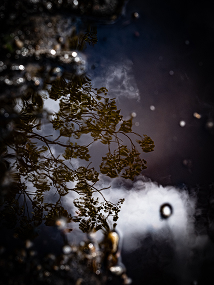 Monika Barth
Mikroversum V, 2024
from the series Beneath the Surface
H:106,7 X B 80cm
Echter Fotoabzug auf Alu-Dibond
EDITION 10 + 2 AP Monika Barth
Mikroversum V, 2024
from the series Beneath the Surface
H:106,7 X B 80cm
Echter Fotoabzug auf Alu-Dibond
EDITION 10 + 2 AP