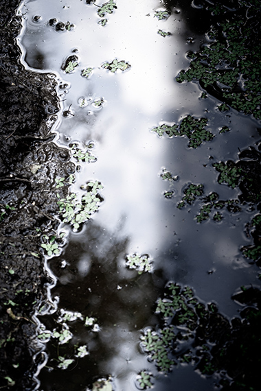 Monika Barth
Mikroversum, 2024
from the series Beneath the Surface
H 90 X B 60 cm
Echter Fotoabzug auf Alu-Dibond
EDITION 10 + 2 AP Monika Barth
Mikroversum, 2024
from the series Beneath the Surface
H 90 X B 60 cm
Echter Fotoabzug auf Alu-Dibond
EDITION 10 + 2 AP