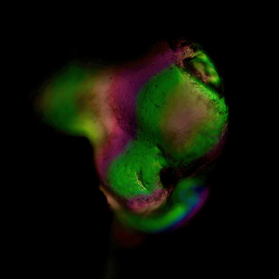 Seeing the World in a Grain of Sand