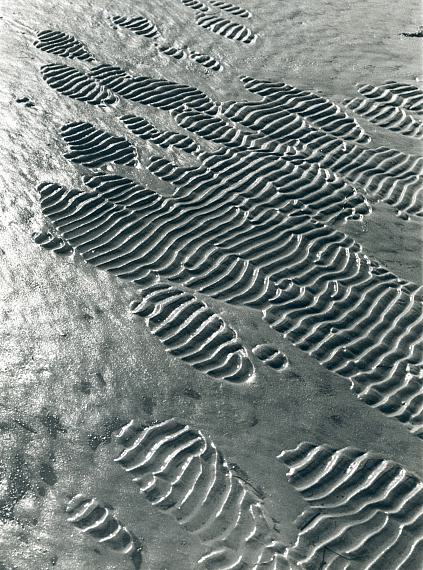 Seeing the World in a Grain of Sand