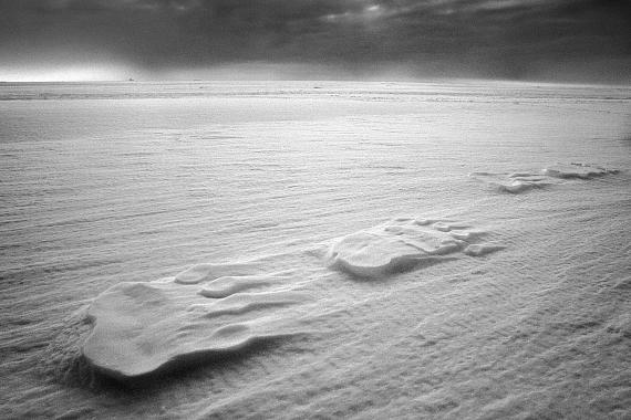 Eisbärenspuren auf dem Meereis, Grönland, 2010© Ragnar Axelsson Eisbärenspuren auf dem Meereis, Grönland, 2010© Ragnar Axelsson