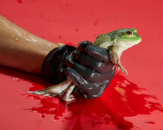LANDSKRONA FOTO FESTIVAL 2026 