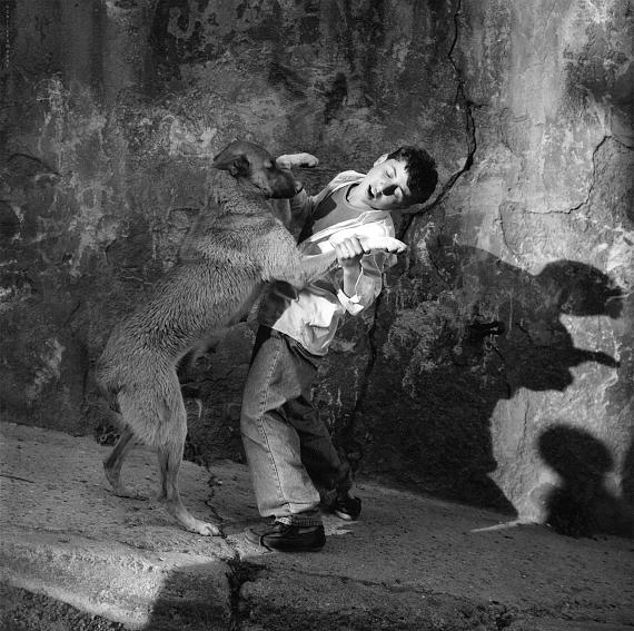 Junge und Hund, Istanbul, 1992© Christa Mayer, VG Bild-Kunst, Bonn, 2026