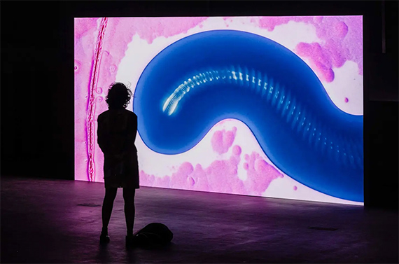Screen Bodies &copy; Kate Cooper