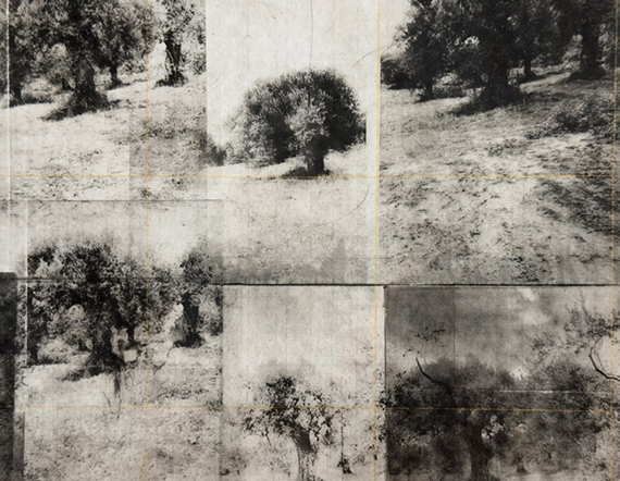 Elaia, 2026
photogravure sur papier japonais et bois
50 x 70 cm, Pièce unique
© Kati Dovellos / Courtesy Galerie Parallax Elaia, 2026
photogravure sur papier japonais et bois
50 x 70 cm, Pièce unique
© Kati Dovellos / Courtesy Galerie Parallax