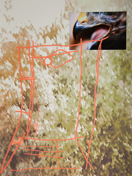 Persistence Studies &copy;  Sheida SoleimaniBristol Museum & Art Gallery