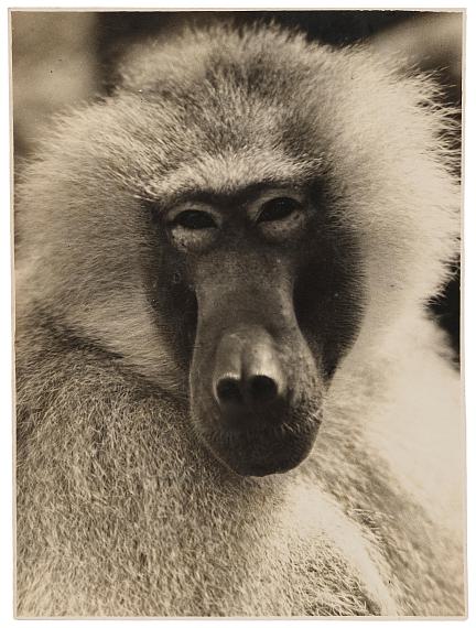 Photography/Fotografie Photography/Fotografie