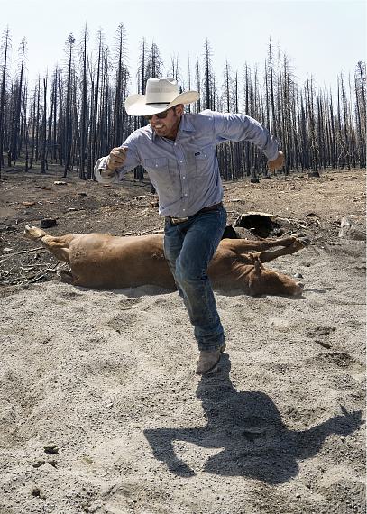 Cowboys Cowboys