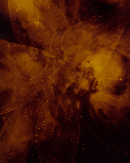 Image from “There Will Come Soft Rains” project by Camille Cellier