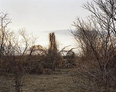JOEL STERNFELDTHE FIELDS series:Looking North from a Cane Break, Near Walnut Trees Road, Towards Nook Road, on a Late March Afternoon, The Meadows, Northampton, Massachusetts, March 2007, 2007Digital C-Print, 182 x 228 cmcourtesy of the artist and Buchmann Galerie, Berlin