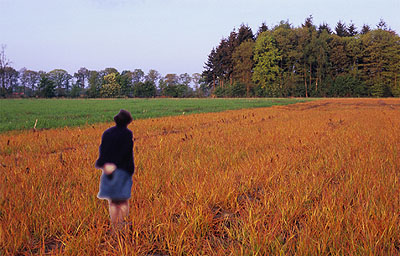 Doina Kraal, Van Brela naar Syndenham Hill Woods naar Diepenheim, 2008, c-print