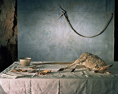 Wallaby with tarp, 2006, archival print on cotton rag paper
