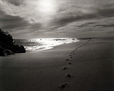 © RUSSELL JAMES, FOOTPRINTS ON THE SAND, CABO SAN LUCAS, MEXICO