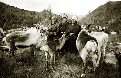 Tsaatan reindeer maids, Hureen Taiga, Hovskol - 2003Platinum print on 100% Arches platine paper. Edition of 3 and 1 AP.Image size : 28 x 40 inches / 71,12 x 101,6 cmPaper size : 30 x 44 inches / 76,2 x 111,76 cm© HAMID SARDAR AFKAMI, COURTESY GALERIE THIERRY MARLAT