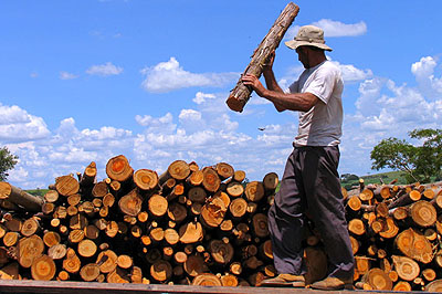 Josias, der Holzfäller, aus der Serie MENSCHEN VOM LAND, C-Print 2006 © João Paglione