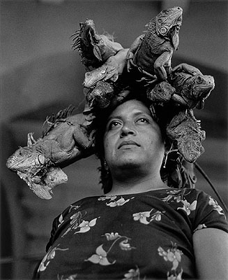 Graciela IturbideNuestra Señora de las iguanas (Our Lady of the Iguanas), Juchitán, México, 1979Gelatin-silver print43 x 35 cmCollection Mapfre Foundation© Graciela Iturbide