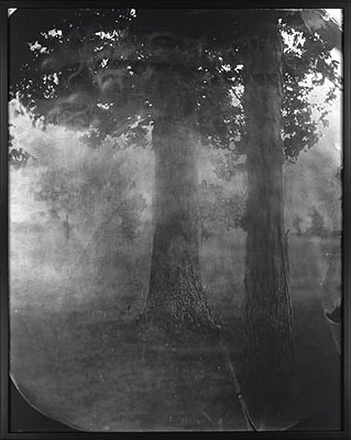 Sally Mann, Untitled (Antietam #16), oversized silver print, printed by Mann from the original wet-plate collodion negative; archivally drymounted and finished with custom mixed Soluvar varnish, 2000-2002. Estimate: $20,000 to $30,000.