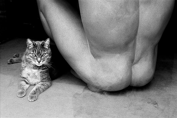 Katze - Skulptur, Paris 1989 ©Isolde Ohlbaum
