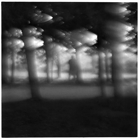 © Frank Dituri, Man in the forest 2002