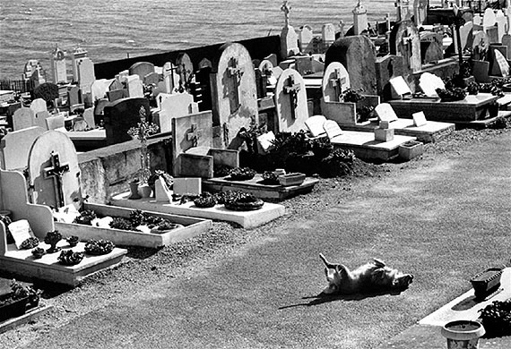 St. Tropez, France 1979