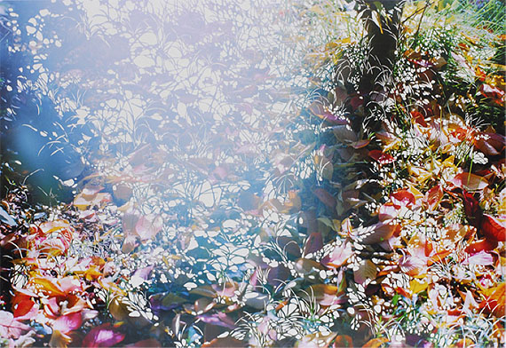 Reminiscence is a Sunny Place, 2011, Photographic collage, mounted on paper, 74 x 104 cm
