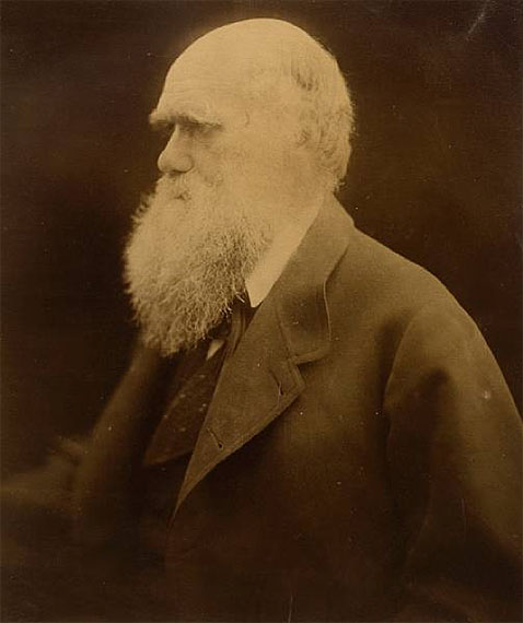 Julia Margaret Cameron Charles Darwin, 1868, 30 x 24cm (11 13/16 x 9 7/16in), $4000 – 5000