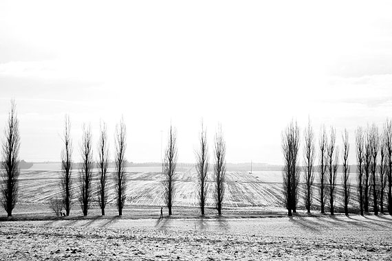 © Massimo Pastore	Bianco Cold Landscapes