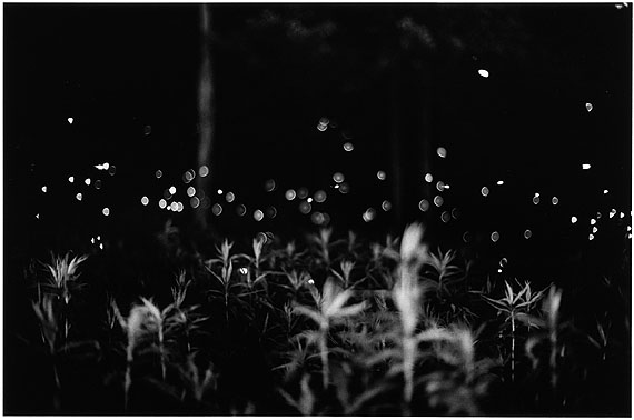 Fireflies 018, Fireflies series (1996) © Gregory Crewdson