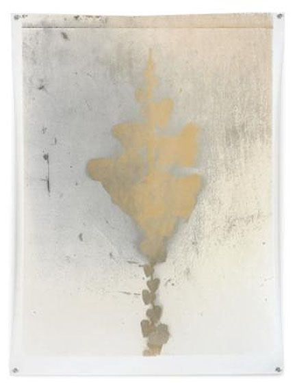 Nature Morte 9, 81 x 61 cm, Silver Print, 2010. Edition of 1© Jeff Cowen