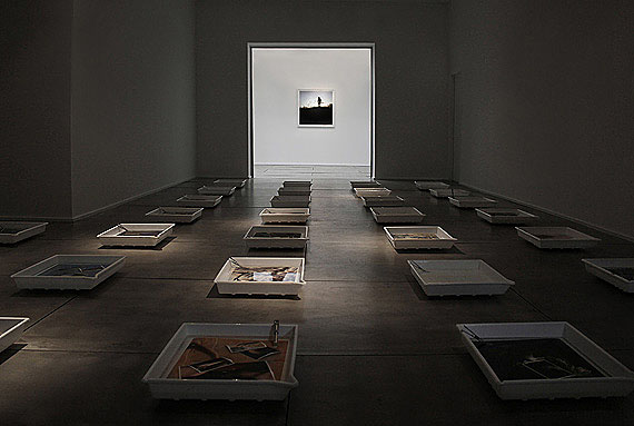 Installationshot (40 trays, 40 tongues, approx. 100 photographs under water), courtesy of the artist