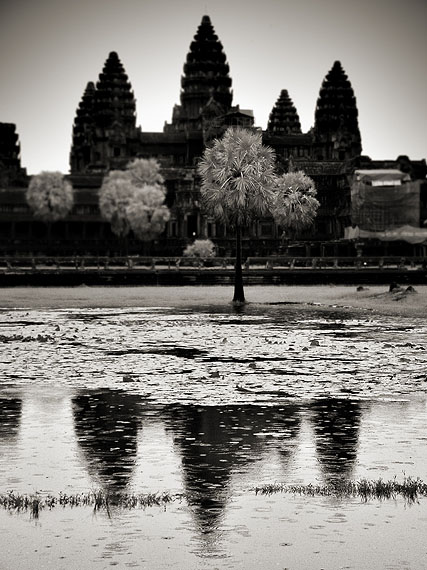 Angkor, 2010 © Toni Catany