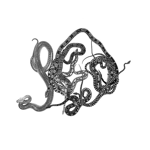 „Schlangenmosaik II“, 2012Silbergelatineabzug auf Barytpapier, § 131,5 cm