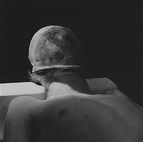 Corpus, 1993/9430 x 30 cm, © Diana Michener