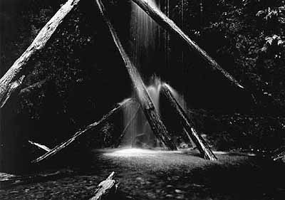 Dreamland Dreamland