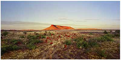 ROSEMARY LAING: One Dozen Unnatural Disasters in the Australian Landscape, Brumby Mound #6, 2003C-print, mounted and framed, 85 x 135,7 cm, Ed. 8 (courtesy:Galerie Conrads, Düsseldorf)