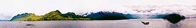 Inside Passage, Alaska, 1999/2000  16.4 x 112cm,   Iris Giclee print with hand
coloring, edition of 10