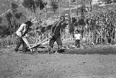Untitled, 1978-79 ©Liu Xiaodi A family tills their field without the assistance of draft animals. Prior to 1976, almost 75% of China’s population and the majority of the country’s poor, made their livelihoods farming the land. 