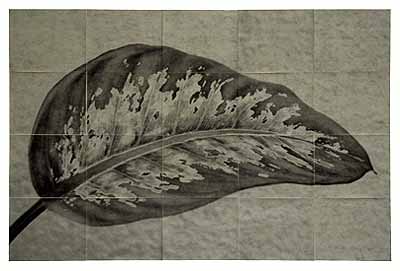 Sergio Zavattieri · Hoja Dieffenbachia · Inkjet print on watercolor paper with albumen and varnish · 174,8 x 261,5 cm (68,8 x 102,9 in) · 2006