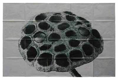 Sergio Zavattieri · Lotus Fruto Verde · Inkjet print on watercolor paper with albumen and varnish · 174,8 x 261,5 cm (68,8 x 102,9 in) · 2005
