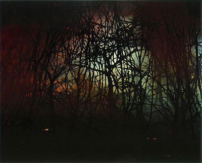 Sonja Braas, Forest Fire, 2006, 185 x 150 cm, C-Print, Edition 8 + 2 AP