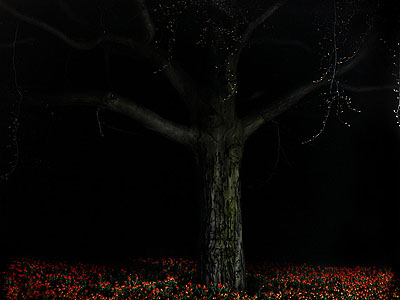 Baum + Tulpen 2007, 130 x 160 cm