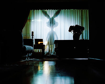 Trent ParkeBugs, 2006from Silent NightPigment print28 x 35cm, edition of 8 + 2 AP72 x 90cm, edition of 8 + 2 AP