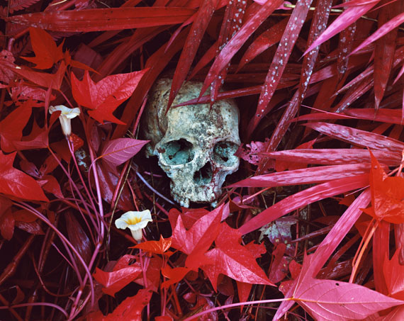 Richard Mosse: Aus der Serie: INFRA, Of Lilies and Remains (Busurungi & Hombo), 2012