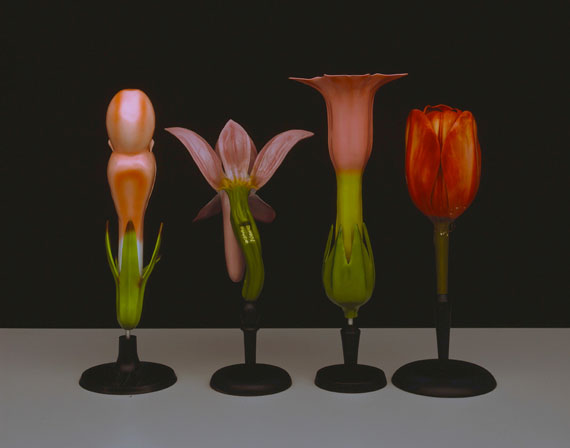 Hans Hansen: Pflanzenmodelle, C-Print, 119 x 94 cm