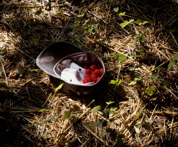 Some Berries [Remake] © Björn Siebert, Otto-Steinert-Preisträger 2013