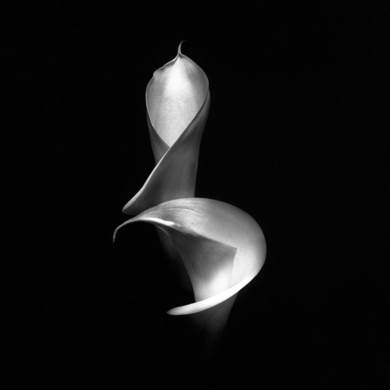 Made of light, 40 x 40 cm, Limited Edition of 12, signed, Silver Gelatine Print